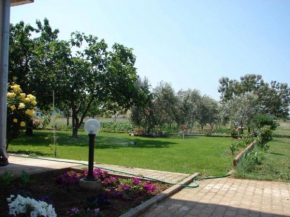 Apartment in Zaton (Zadar) with sea view, terrace, air conditioning, Wi-Fi (4814-2)